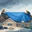 Emergency Roof Tarping Guide for Storm Damage